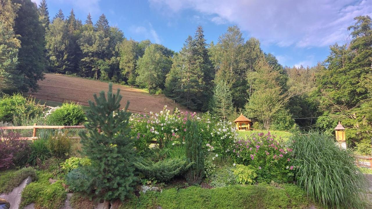 U Vesele Lisky Hotel Hutisko Bagian luar foto